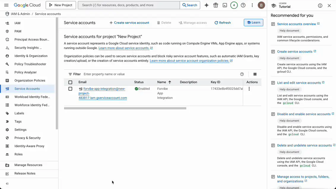 Grant Service Account Access in Play Console